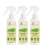 AQUORAL AQUORAL Rosemary Water Hair Spray For Hair Growth - Reducing Hair Fall, Strengthens Hair & Breakage - Promotes Healthy Follicles and Thicker Hair - For Men & Women - Fragrance Free -100 ml Pack of 3
