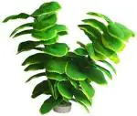 Kapoor Pets Aquarium Aquatic Plant Anubias Coin Leaf Plastic Anchor