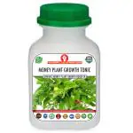 Erwon Money Plant Growth Tonic Organic Liquid Fertilizer for Maximising and Bigger Plants (250 ml)