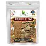 SOVATA Groundnut Oil Cake, Powerful Essential Organic Fertilizer for Overall Healthy and Fast Growth of Plants(200gm)