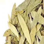 Xetomos Rasna Leaves Pluchea lanciolata 150g Other names are, Rasnai Leaf, Ray Sanay Patta, Rai Senna rasna, leaves, rasnai, leaf, ray, sanay, patta, rai, senna, pluchea, lanciolata