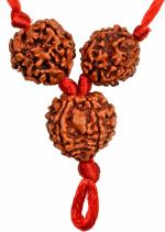 omegagold Saraswati Rudraksha Kawach