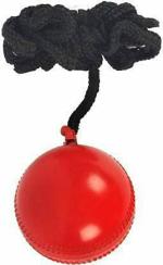 HIRNOTS Cricket Practice Hanging Ball Red