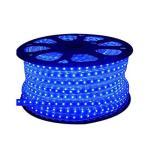 Buy Ever Forever 5 Meter Rope Light Blue Online at Best Prices in India ...