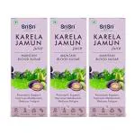 Sri Sri Tattva Karela Jamun Juice,1000 Ml Each (Pack Of 3)
