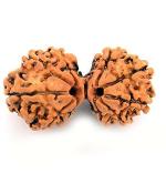 Feel Touch Mart Gouri Shanakr Natural Nepal Rudraksha by Lab Certified