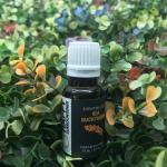 Happy Surroundings Sea Buckthorn Essential Oil (30ml)