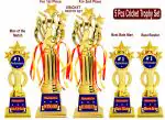Aark India Cricket trophy for WINNER, RUNNER UP,1st and 2nd Place,Man of the Match,Best Bowler,Best Batsman,Cricket Match/ Competition /Tournament/ function prize (Set of 5 Pcs) Award (PC002000)