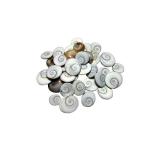 Akshayshree Sales Original Medium Size Gomti Chakra/Pure Natural Shell Gomatichakra for Vastu and Laxmi Pooja on Diwali (Pack of 1-51 pcs)