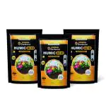 Gardenica Humic Acid Fertilizer For Plant Growth and improves Plant (PACK OF 3) Fertilizer (850 g, Powder)