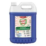 PowerPax Toilet Bowl & Urinal Traditional Cleaner with 99.9% Germ Kill Disinfectant Sanitizer Action (Orange), 5L