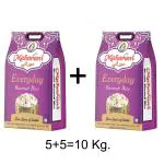 Maharani Everyday Basmati Rice (Medium Grain, Steam) (10 kg)