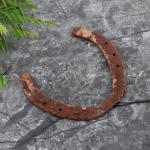 Dvm Rci Handicrafts Iron Home Decor 100% Original Black Horse Shoe Kaale Ghode Ki Naal Mantra Siddh