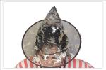 Hippity Hop Black Halloween Witches Hat