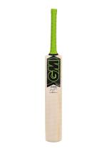 Gm Paragon Striker Kashmir Willow Cricket Bat Size 5 - Size 5