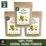 Humanveda Henna Hair Care Powder - Mehendi - 300 g