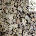 Kapebonavista Gokharu Gokhru Chota Gokhru Kanta Cinnpalleru Yellow Vine Tribulus Terrestirs Small Caltrops 150gram Gokharu