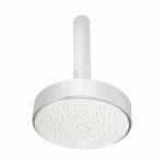 Parryware silver Chrome Plated Overhead shower (Pack of 1)