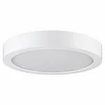 PHILIPS 7-watt Round Star Surface | Surface LED Downlight for Ceiling, Warm White(Pack of 1)