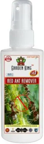 SANSAR GREEN: Red Ant Hit Spray, Premium Essential Super Powerful Liquid Spray for Removing Red ants and Insects from Plants. (500ml)