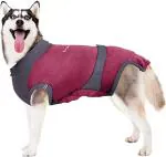 Maxx Ruby Red And Grey E Collar Alternative Medical Pet Clothing Recovery Suit For Dogs