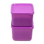 Tupperware Purple Plastic Container Cubix Set of 2