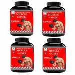 Zemaica Healthcare|Muscle Gainer|whey Protein powder Body Weight Gainer|Flavor Vanilla|Pack of 4