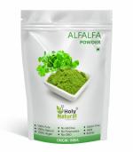 Holy Natural Alfalfa Powder 100gm, Medicago sativa, Herbal, Ayurvedic for men and women for Energy, Stamina & Immunity. Make smoothies, Green Juice, and Herbal Meals.