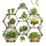Snazzy 9 Tiered Hexazonal Multipurpose Stand / Plant Stand DIY