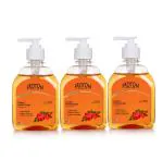 Froton Handwash Liquid Gel Rose 250ml Pack of 3