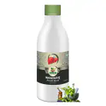 Divya Shri Maxolive Syrup | 100% Ayurvedic and Natural Liver Tonic with Ancient Formula 500 Ml