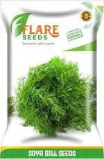 Flare Seeds Soya Dill Seed 200 Per Packet