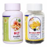 Jivan Shree Vitamin B17 60 Capsules Purest Amygdalin 99.5 Percent Apricot Kernel And Metabolic Omega With Curcumin Ginger Garlic Extract Organic Natural Antioxidant Immune Booster - Pack Of 2