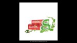 Galway Herbal Panchtatva Toothpaste Pack of 2 (100gm Each)