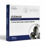 Vedi Gudmar Pure Herb Extract Tablets - 500 mg 1 Strip For Adult