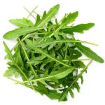 PARYAVARAAN Herbs Seeds - Rocket Leaves Herbs Seeds (Pack of 50 Seeds)