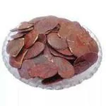 Green India Ornamental Seeds Avenue Tree seeds (Butea monosperma Seeds / Dhak Palash Seed)_20 gm