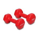 Vector X Red Polyvinyl Chloride Dumbbell 10 kg (Pack of 2)