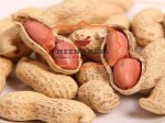 Meenakshi Spices - Roasted Groundnut with Shell | Bhuni Sabut Mungfali | 4 Kg