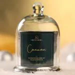 NIKSA HOMES Bell Jar Scented Candle- Cinnamon | Glass Dome | for Home, Bedroom, Love Valentine Gift for Girlfriend, Wife Her, Him Luxury Aroma | 80 Hrs | Soy Wax