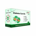 Shri Chyawan Ayurveda's Diabetes Care Kit - Controls and Maintains adequate Blood Sugar Level - 100% Natural Products - Pack of 4