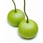 PARYAVARAAN vegetable seed | Indian Squash hybrid Vegetable Seeds For Garden (50seeds per packet) PACK OF 10 PACKET