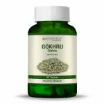 Bio Resurge Gokshura Gokhru Tablet - 750 mg (60 Tablet)