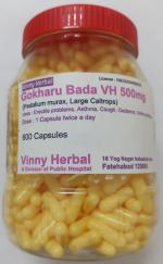 Gokharu Bada DH Herbal Supplement Capsules 600 Caps Jar - DoctorKC Herbal