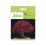 National Gardens Crape Myrtle Bonsai Seeds (5 Nos)
