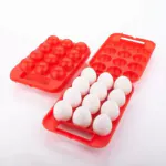 SOMNATH INDIA Portable Plastic Egg Holder Carrier Storage Box for 12 Eggs - 1 dozen Plastic Egg Container 