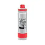 Milton ASTIR-750 Thermosteel Water Bottle Hot & Cold Vacuum Insulated Flask, 670 ML, Grey