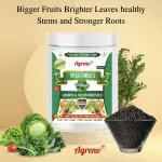Agreno Vegetables Growth and Bloom Booster, Essential Powerful Organic Fertilizer Granule for Overall Healthy and Fast Growth of all types of Vegetable Plants. (450 gm)