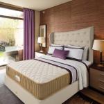 Springfit Pro Activ Back Dual Comfort Ortho Mattress Queen Size 75 x 66 x 5 inch