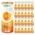 Newtreo Orange Juice With Pulp | Fresh squeezed Oranges | Imported from Vietnam | Not from Concentrate | 24 x 250ml cans